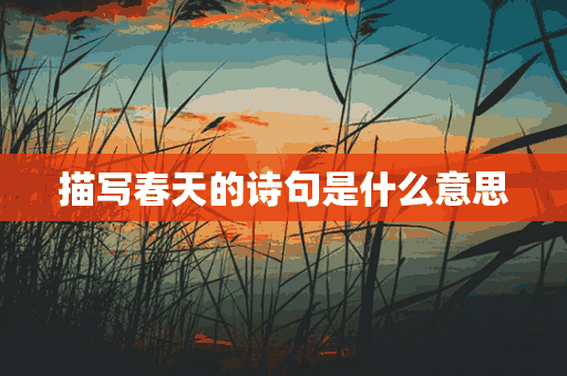 描写春天的诗句是什么意思(描写春天的诗句是什么意思啊)